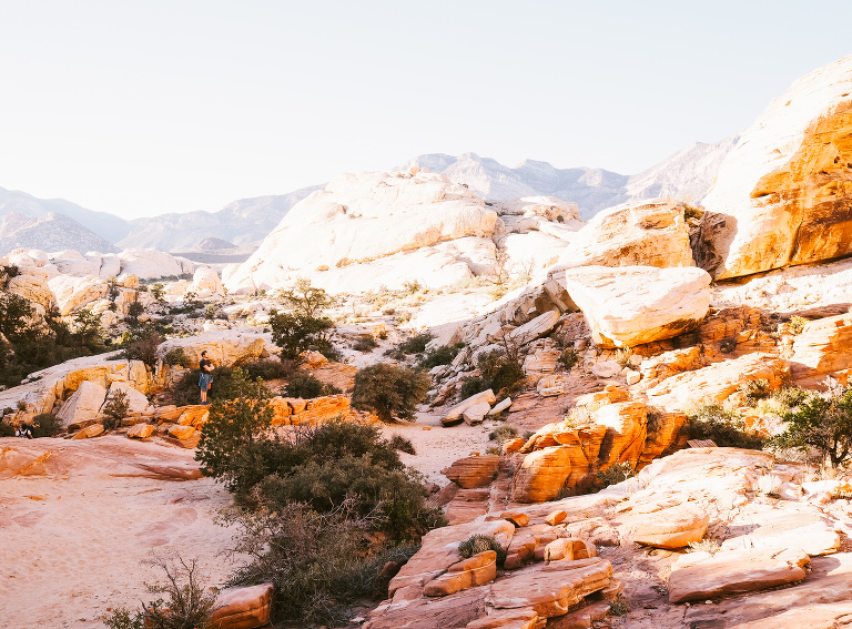 red rock canyon in NV