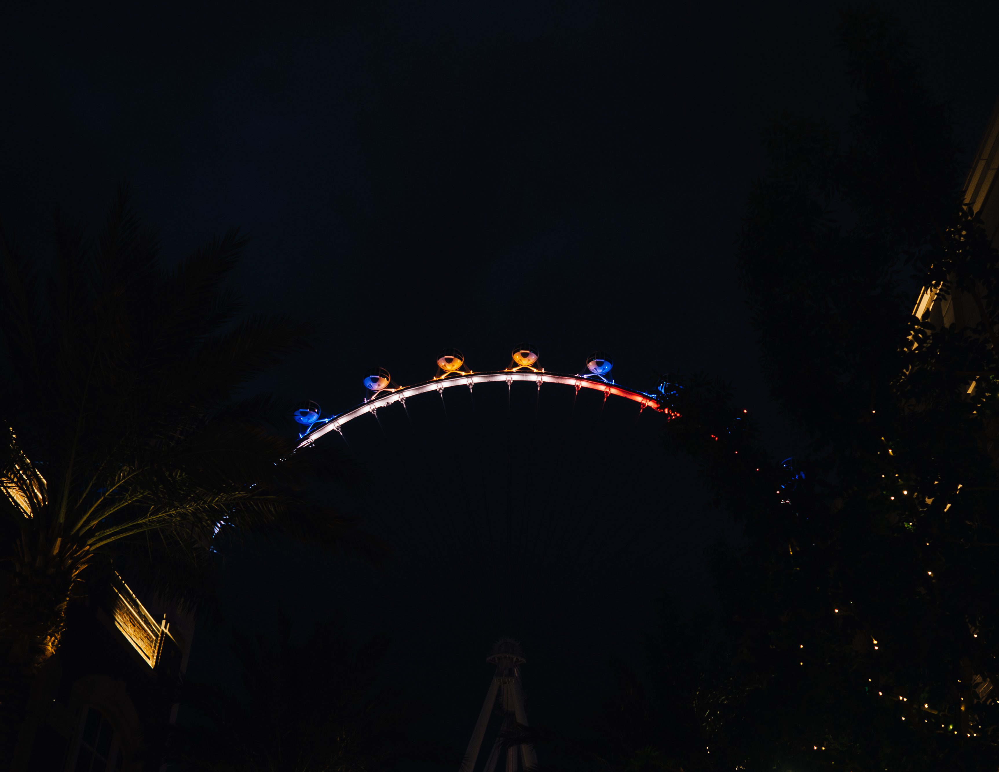 the linq at night
