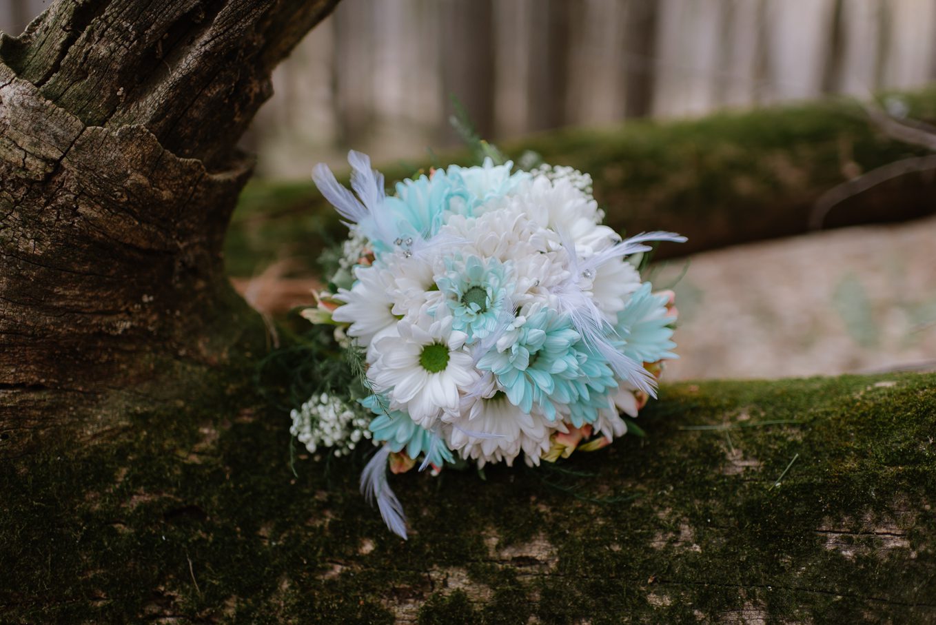 Amber Moon floral in Baraboo.