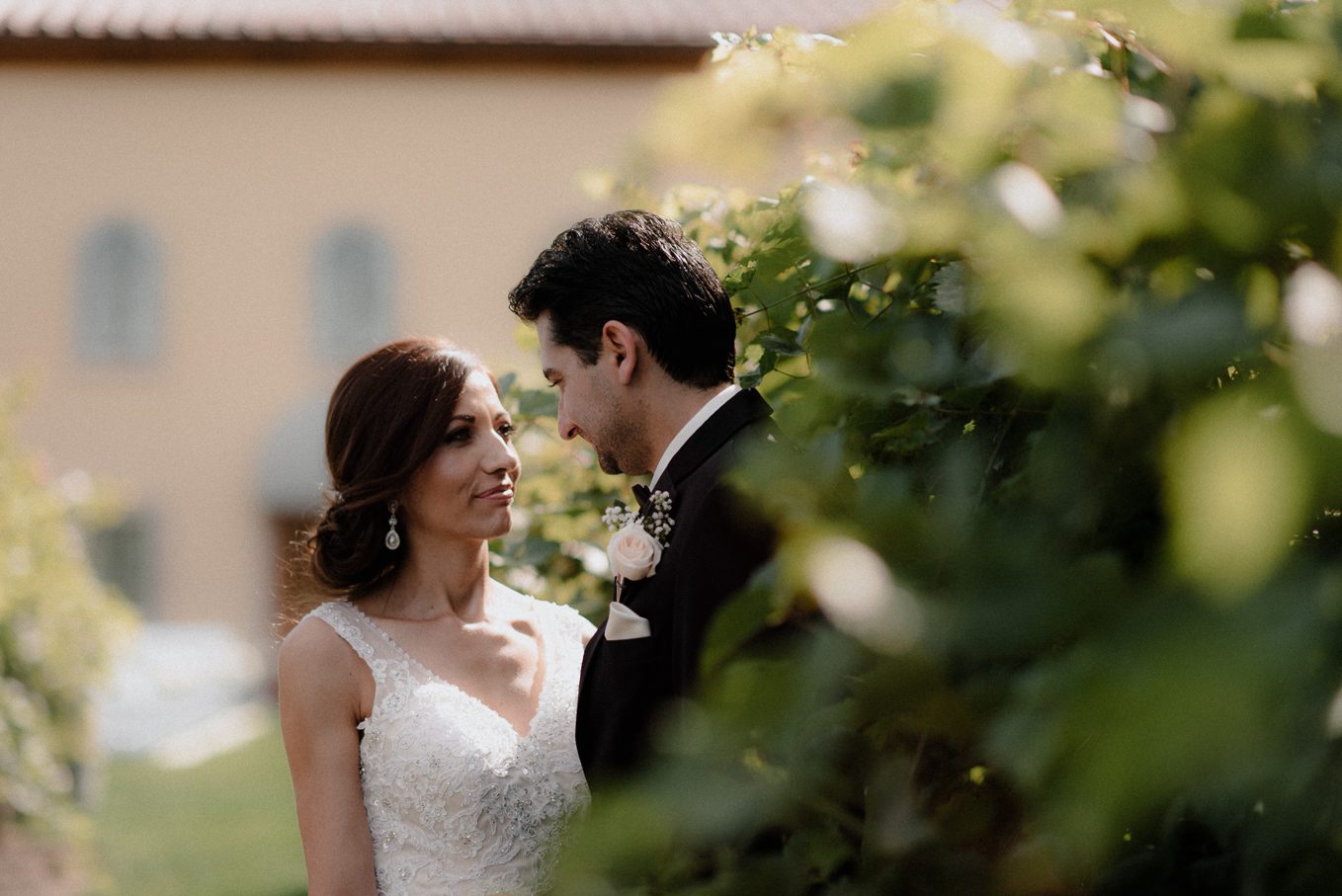Bride and groom in vineyard.
