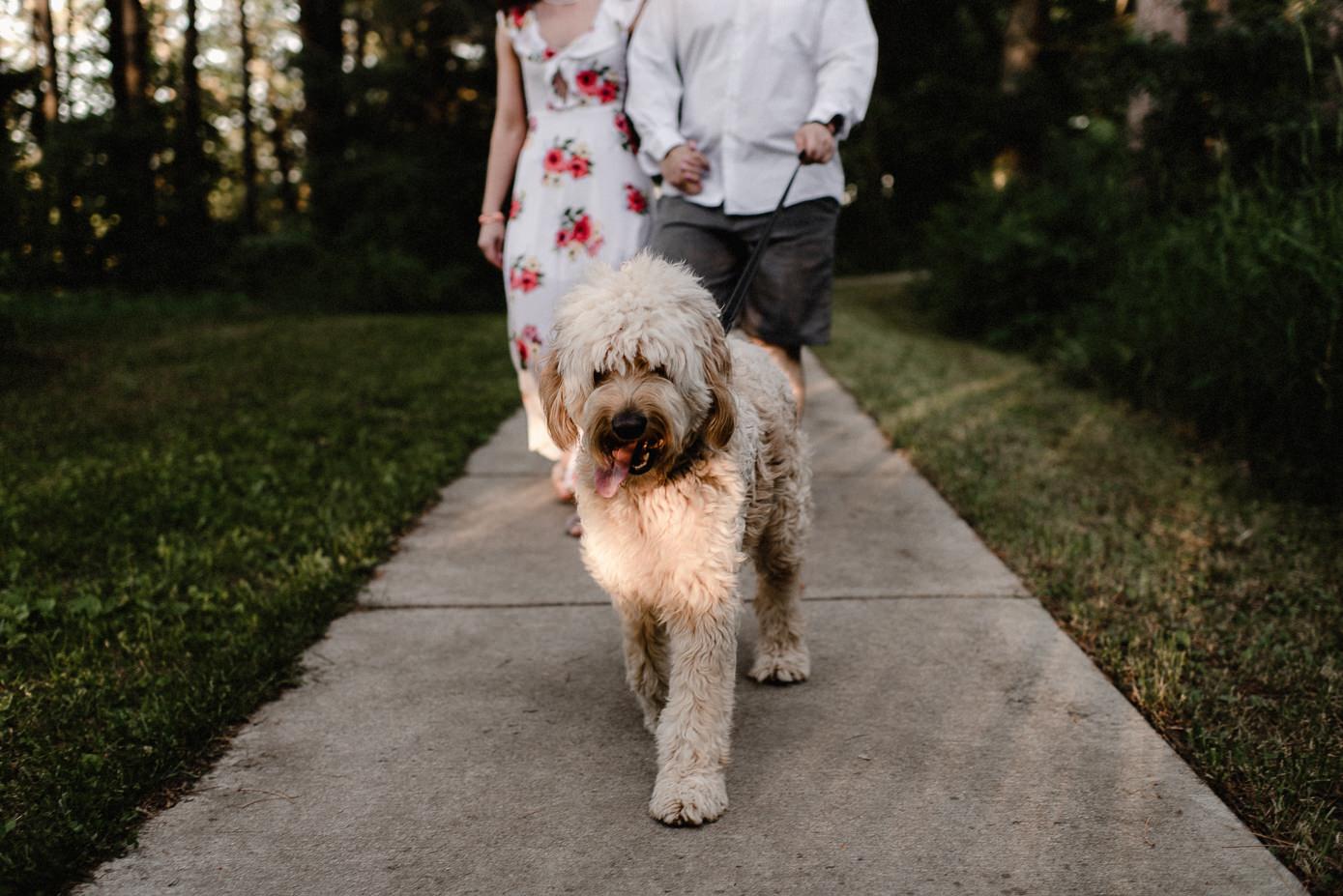 Wisconsin Dells engagement session with golden doodle