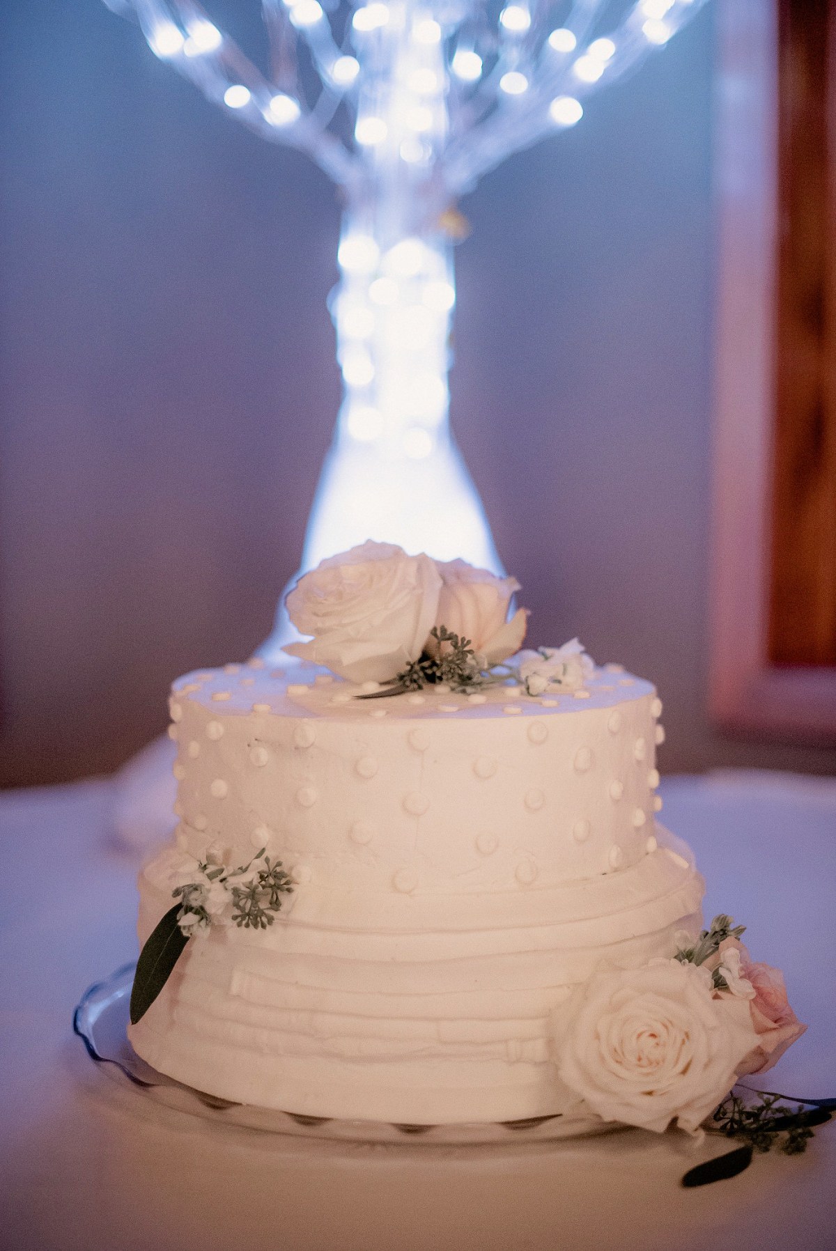 Wedding cake at Wild Rock in Wisconsin Dells