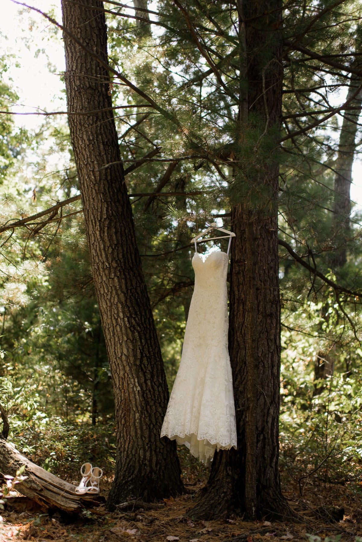 Wedding gown from Vera's Bridal in Madison