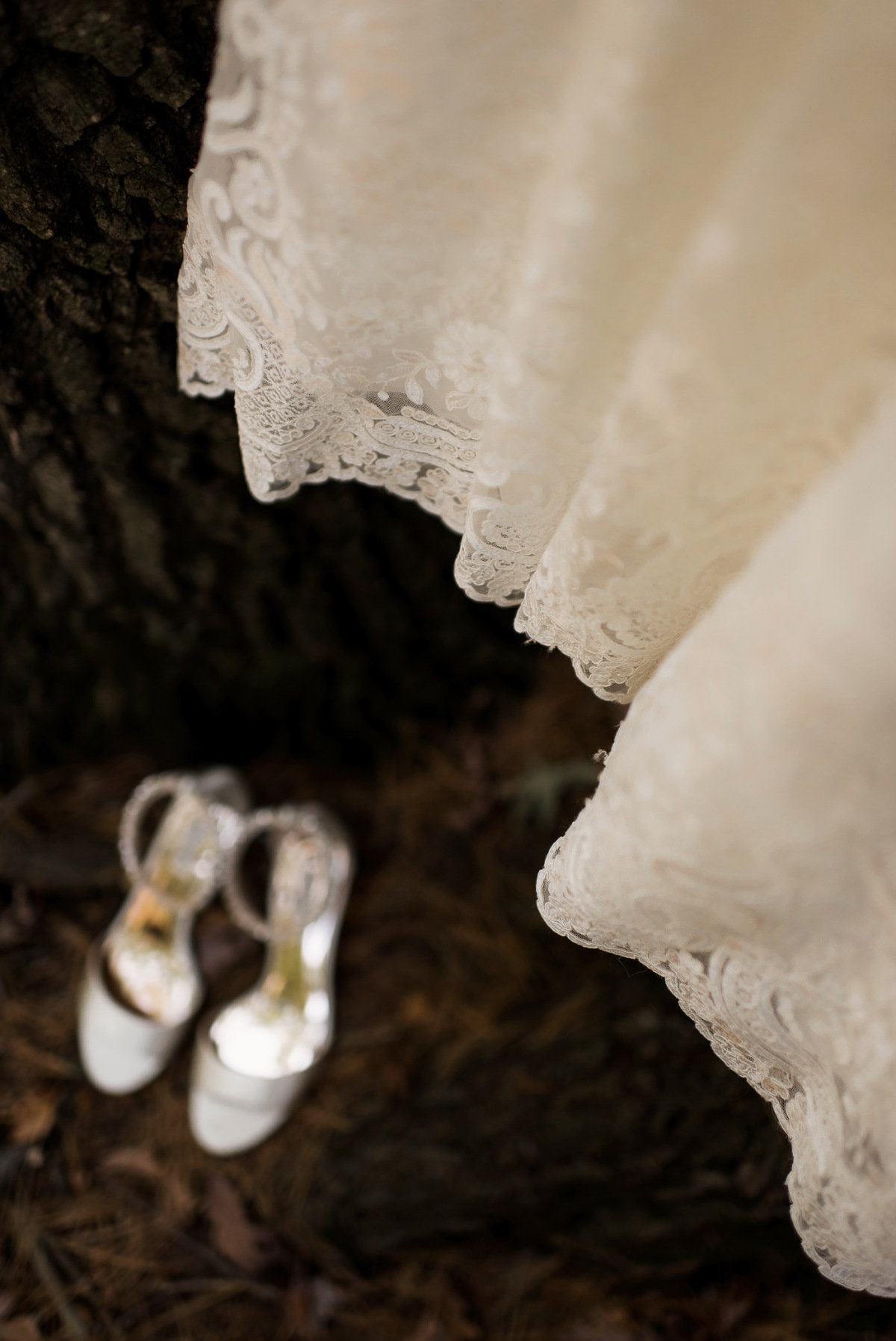 Detail of wedding gown from Vera's Bridal