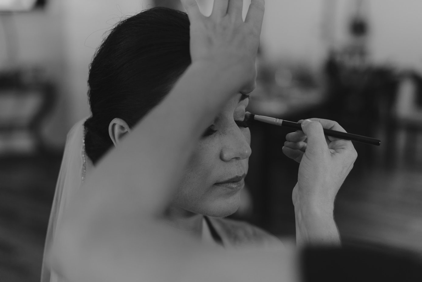 Wisconsin Dells wedding photographer bridal makeup.