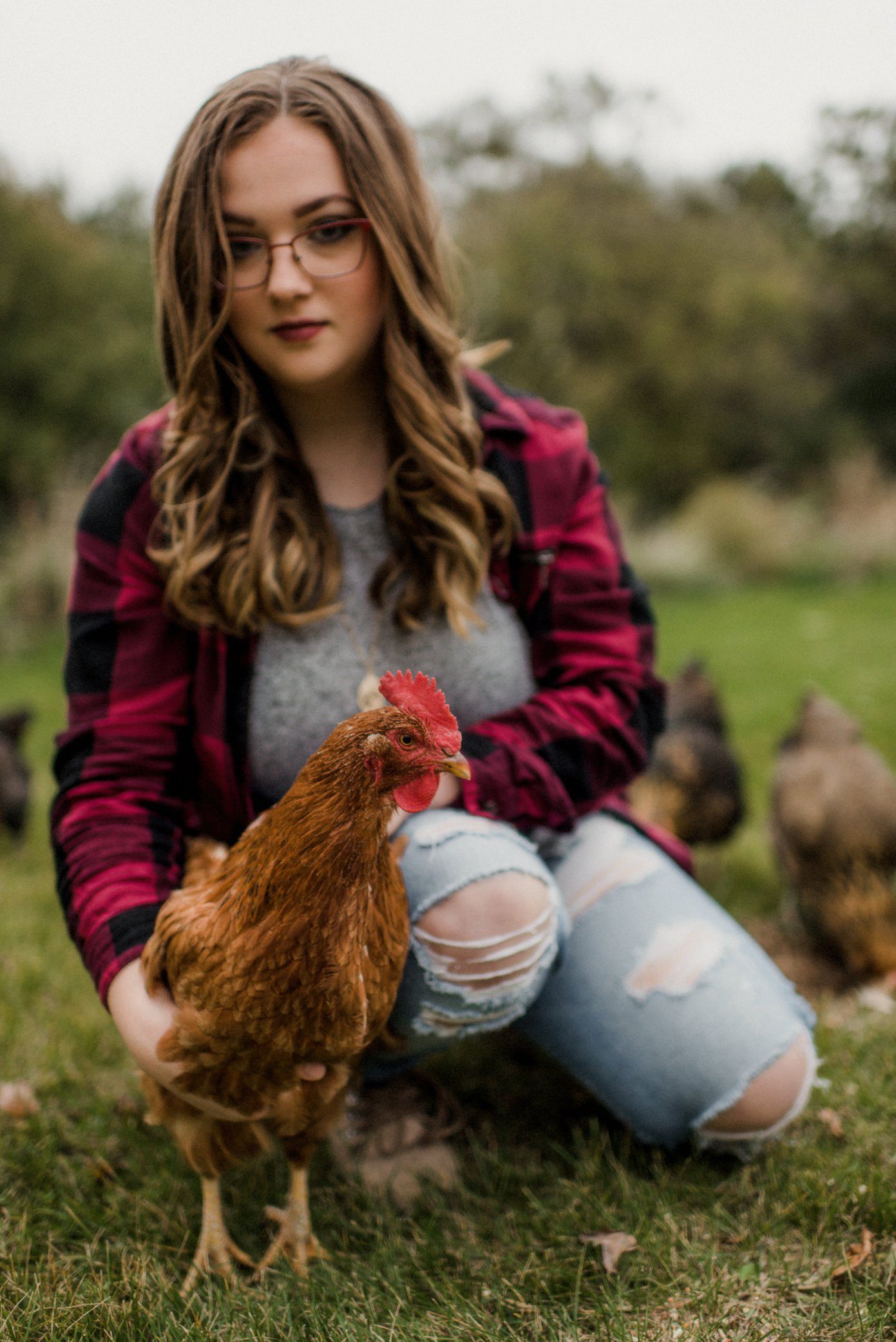 Poynette senior photos on chicken farm