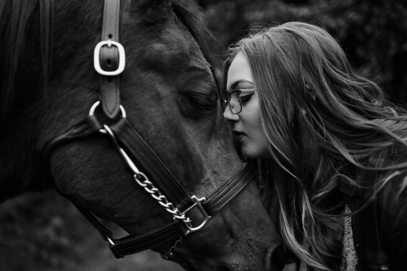 Waunakee senior pictures with horse