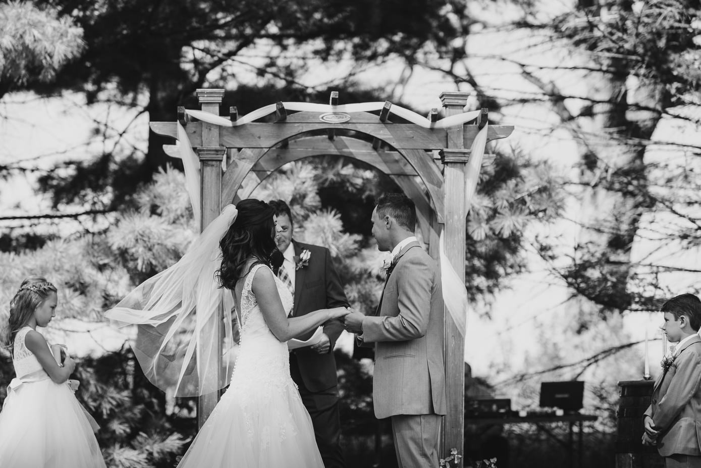 Barn at Winy Pine LLC wedding