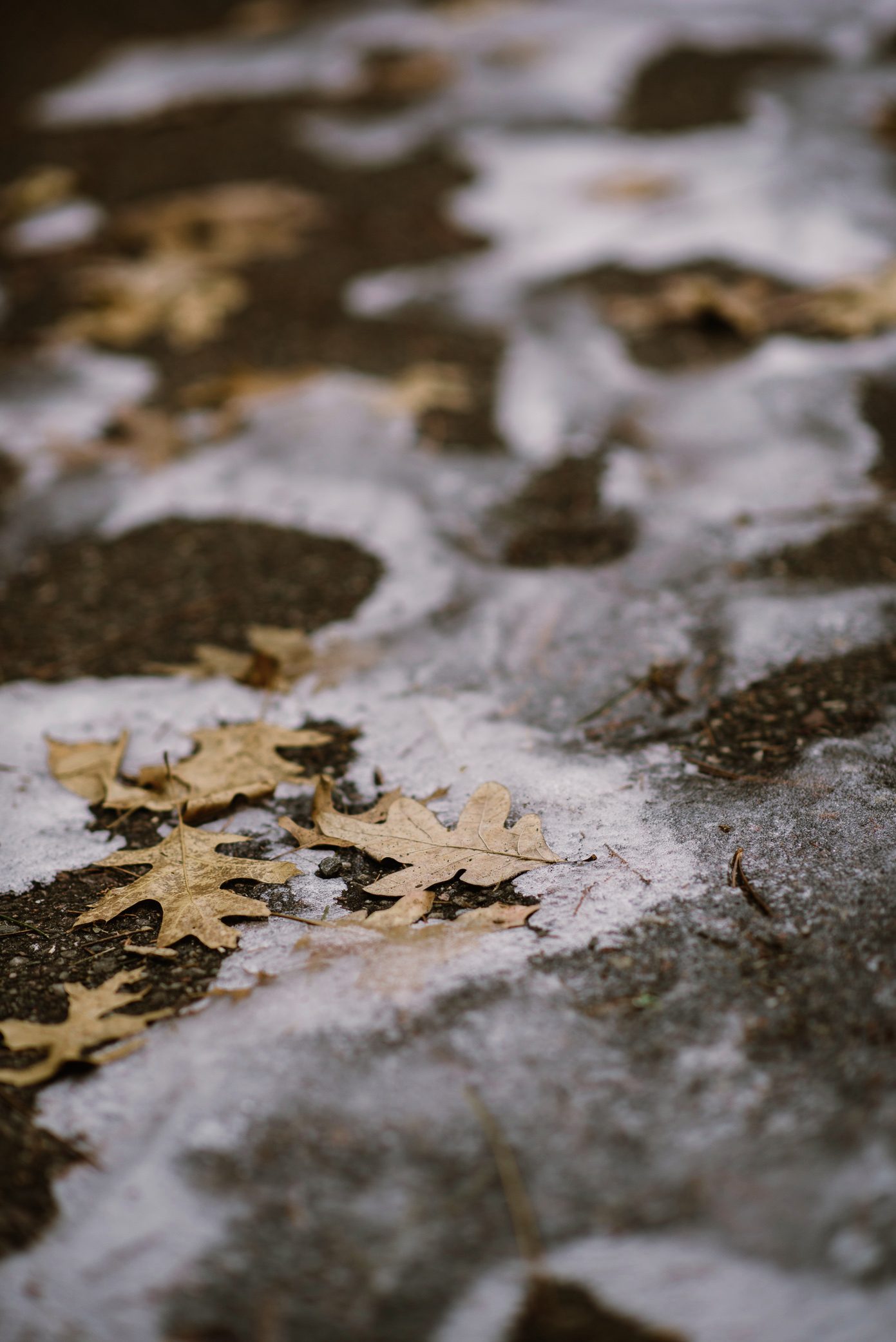 Mirror Lake elopement