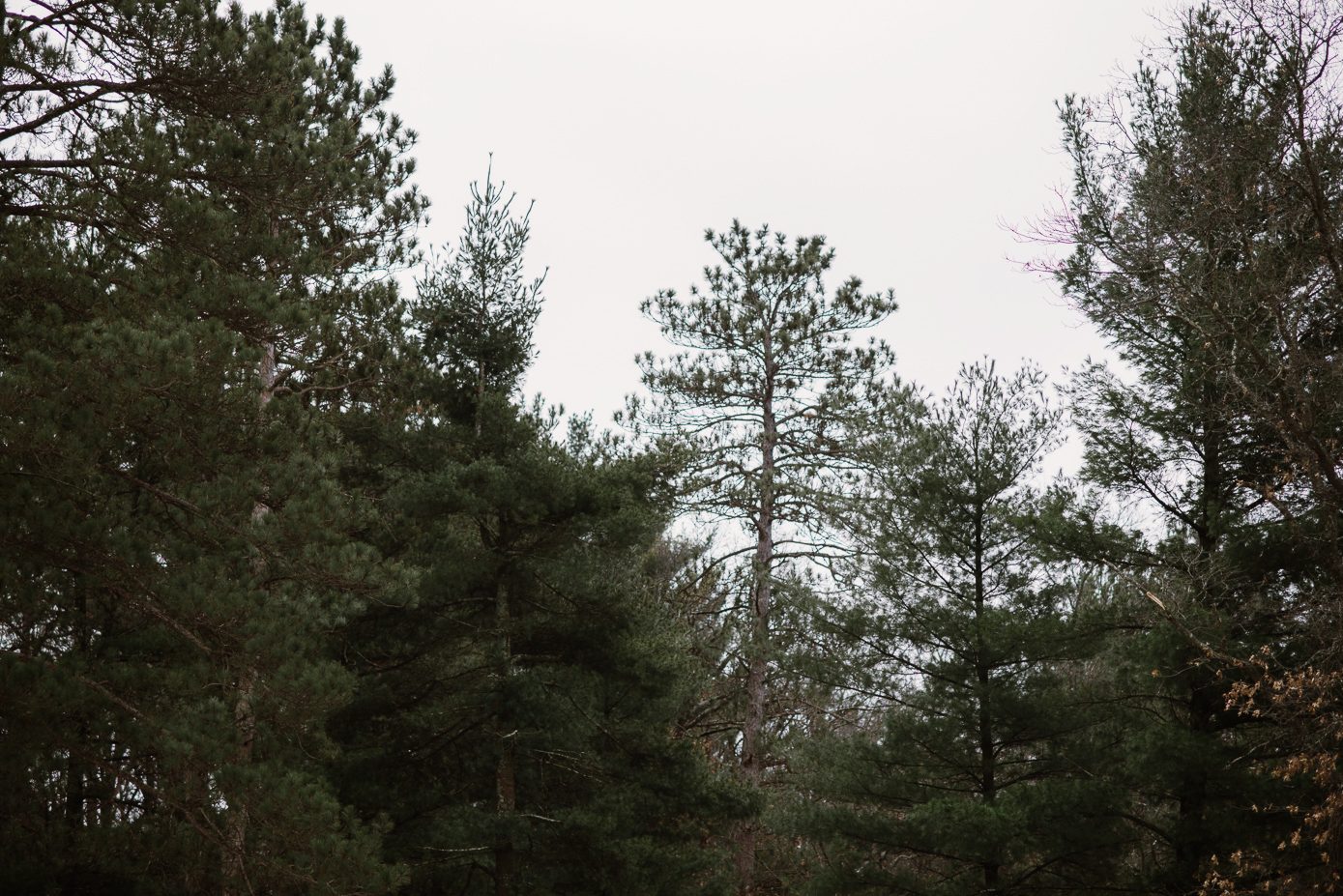 Mirror Lake State Park in winter