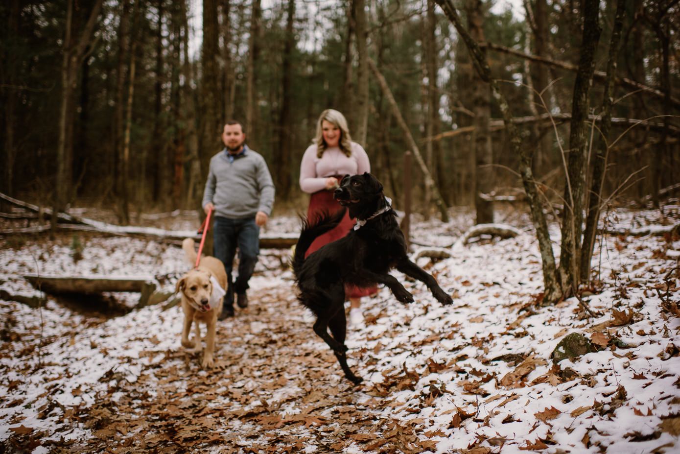 Madison Wedding Photographer-Gibraltar Rock fall engagement session-Wisconsin engagement photos
