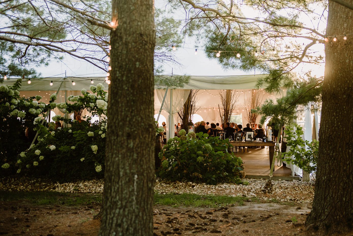 Oak Hill Farm Wedding-Wisconsin Wedding Photographer Kate Senger Photography