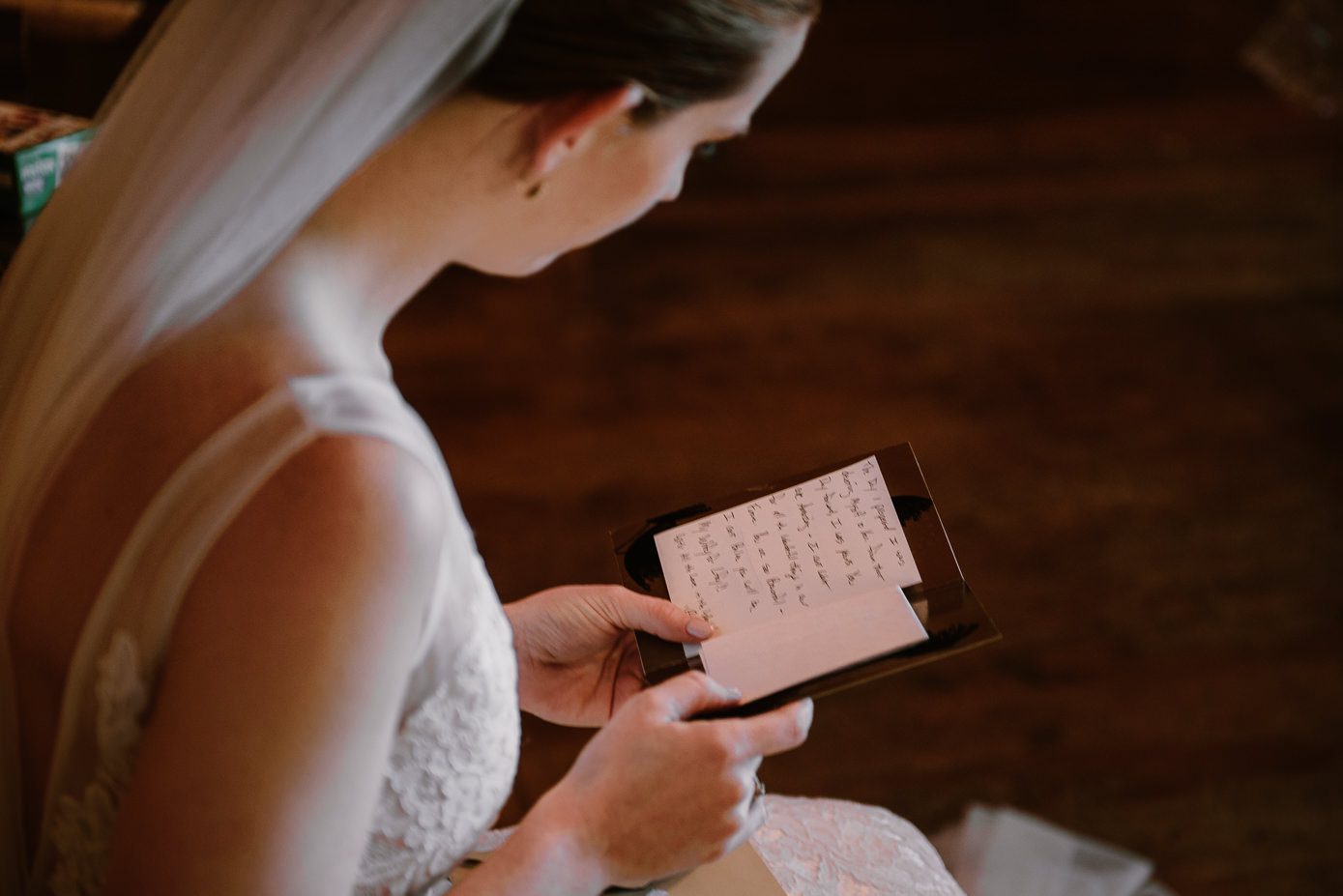 Oak Hill Weddings in Apple River - Kate Senger Photography