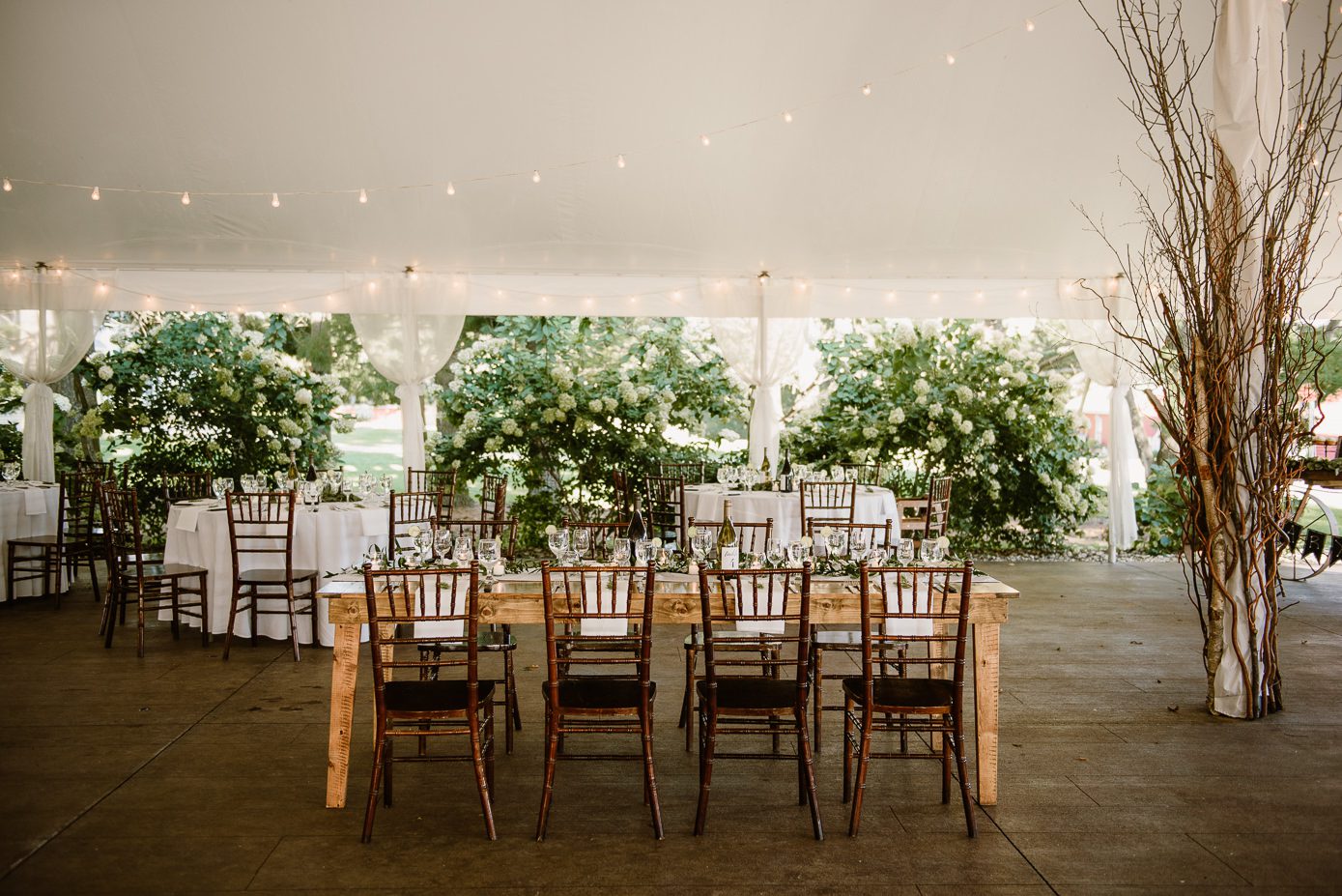 Oak Hill Weddings in Apple River - Kate Senger Photography