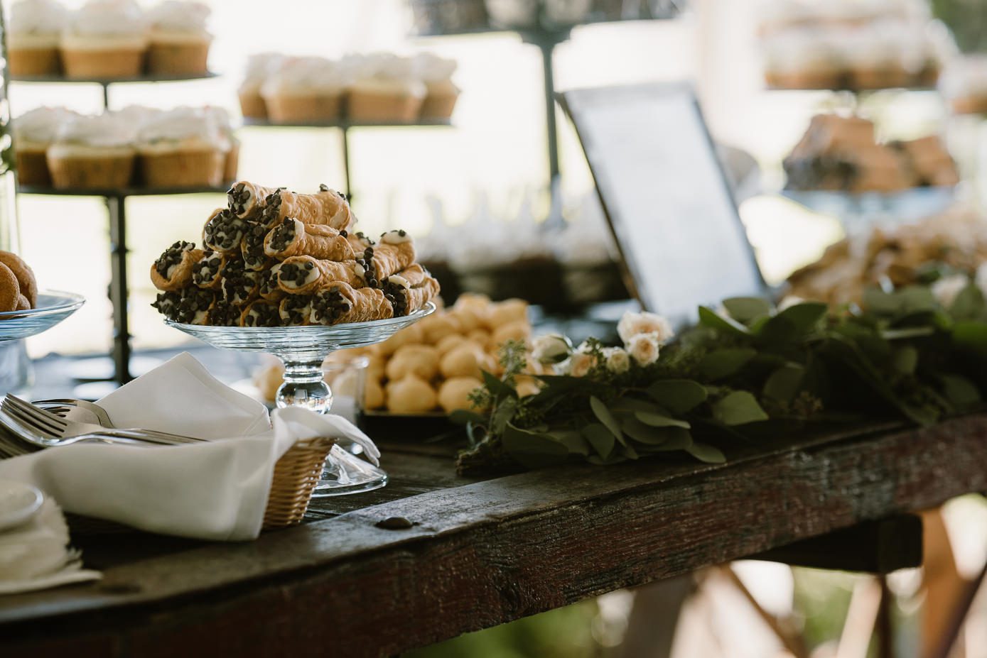 Oak Hill Weddings in Apple River - Kate Senger Photography