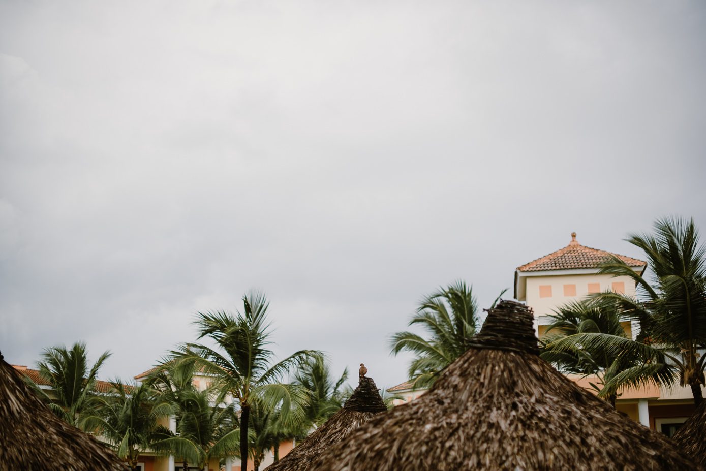 Tropical elopement at Huracan Cafe in Bavaro