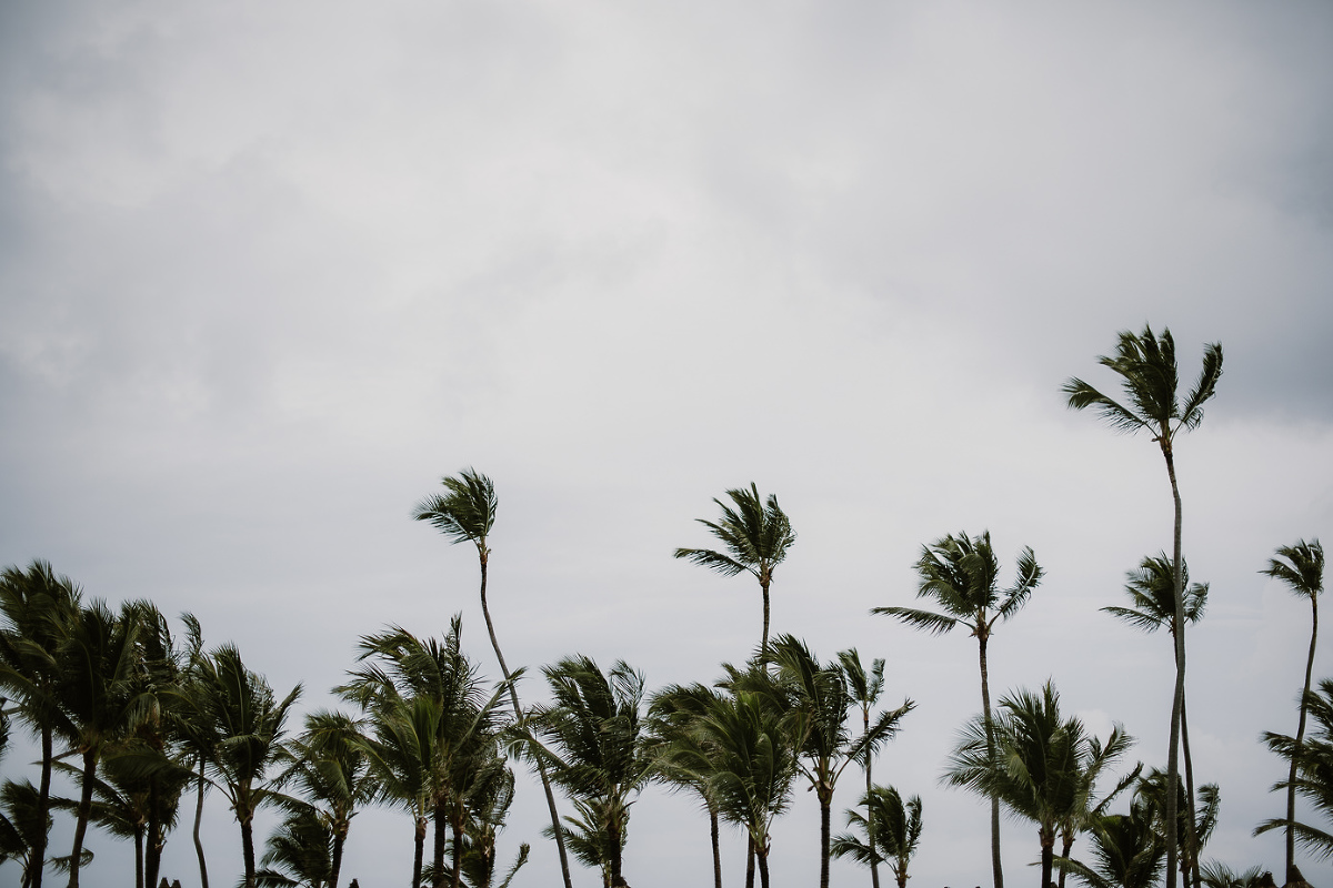 Tropical elopement at Huracan Cafe in Bavaro