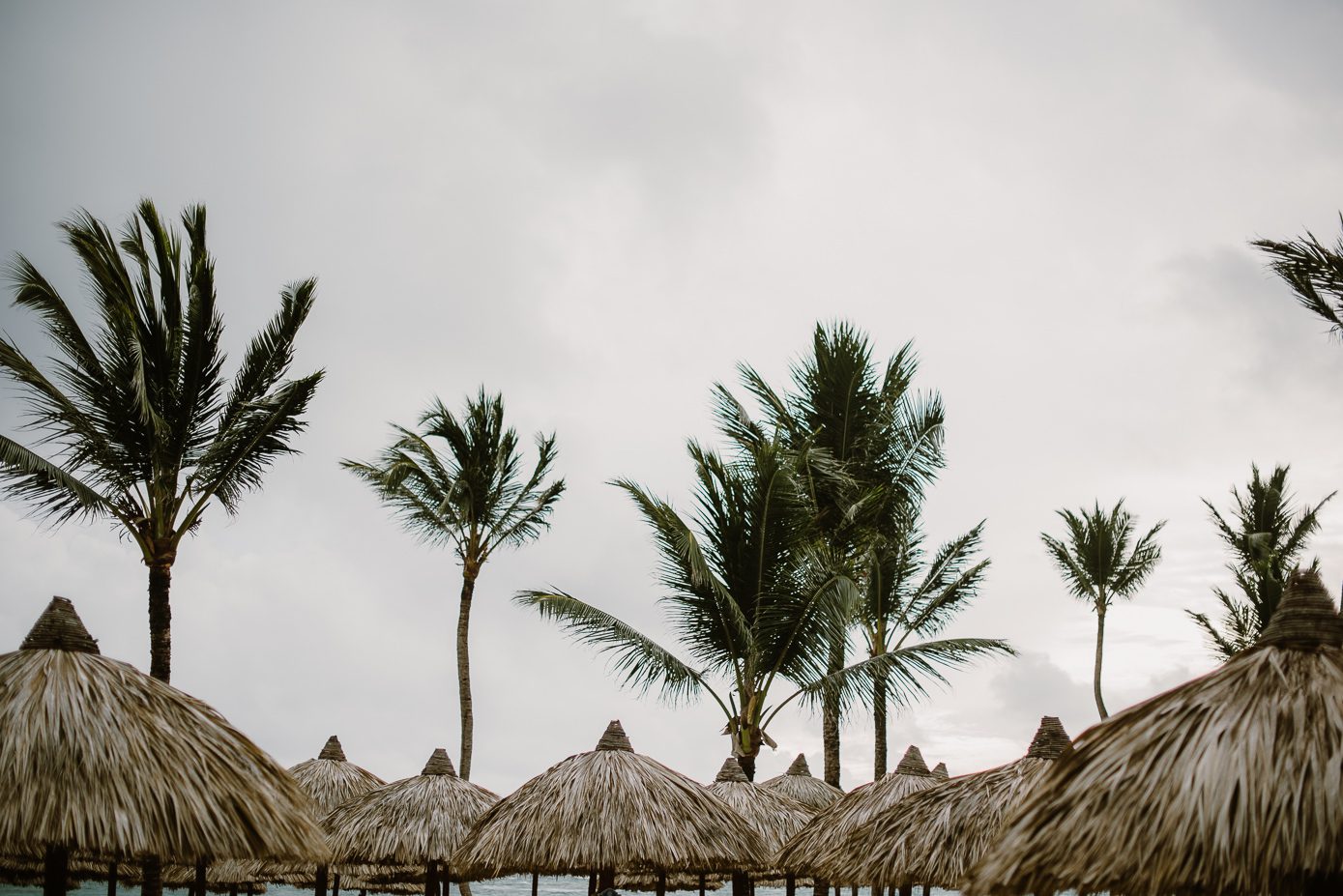 Tropical elopement at Huracan Cafe in Bavaro