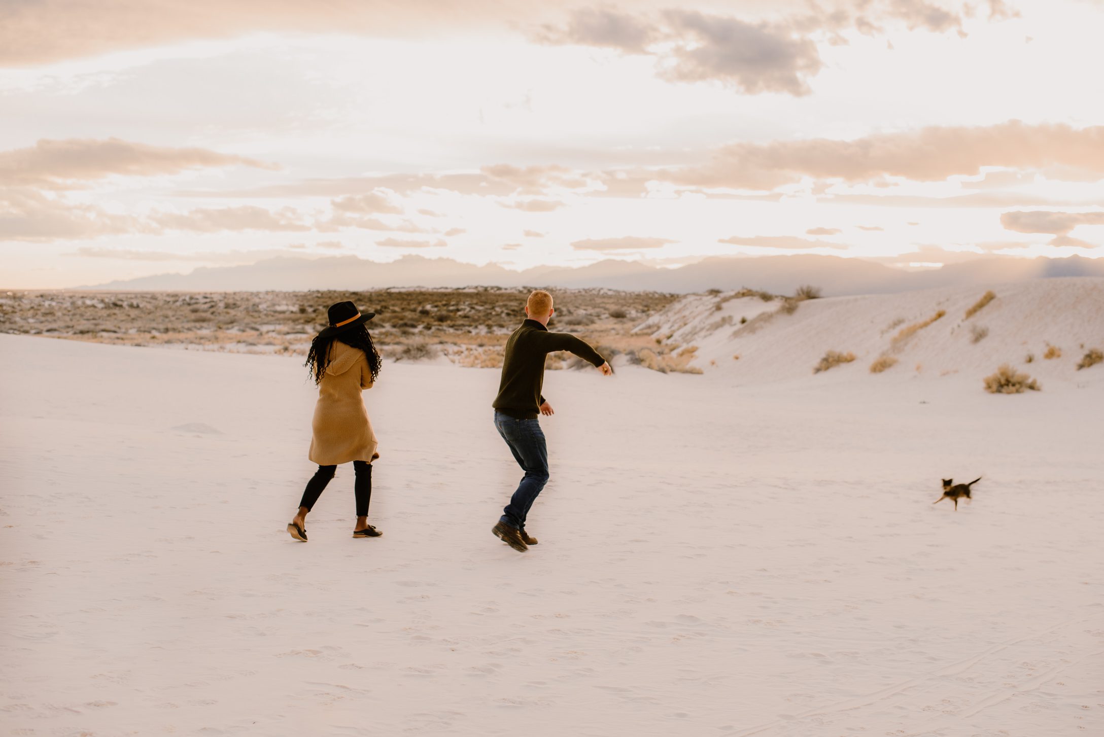 Dog running at White Sands
