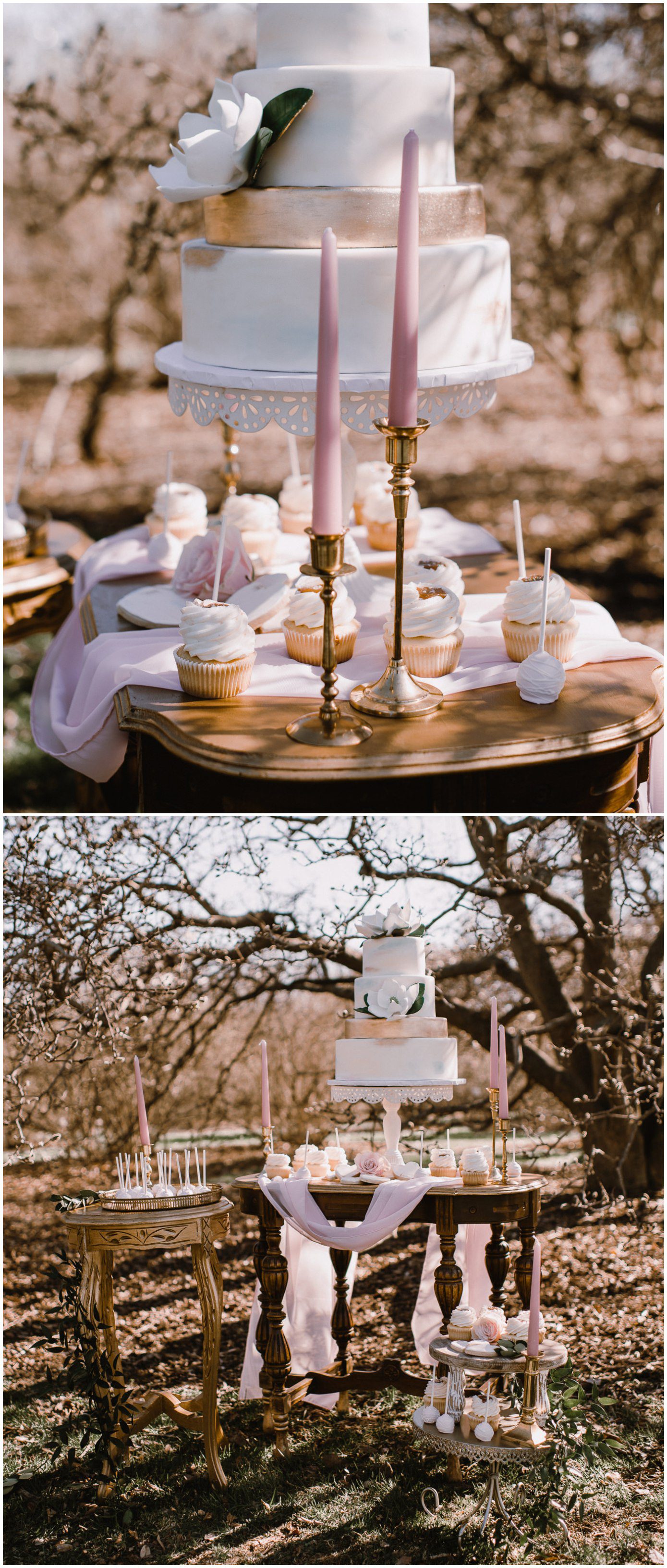 Wisconsin Spring wedding with desserts by Enticing Icing