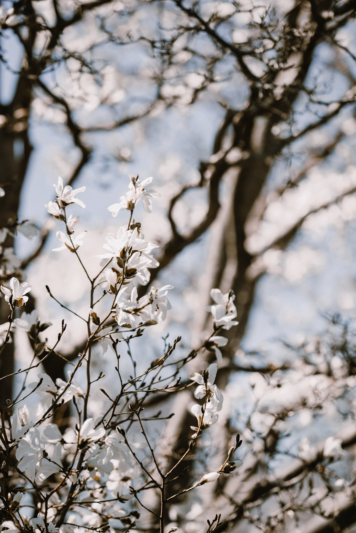 Wisconsin Spring wedding inspiration