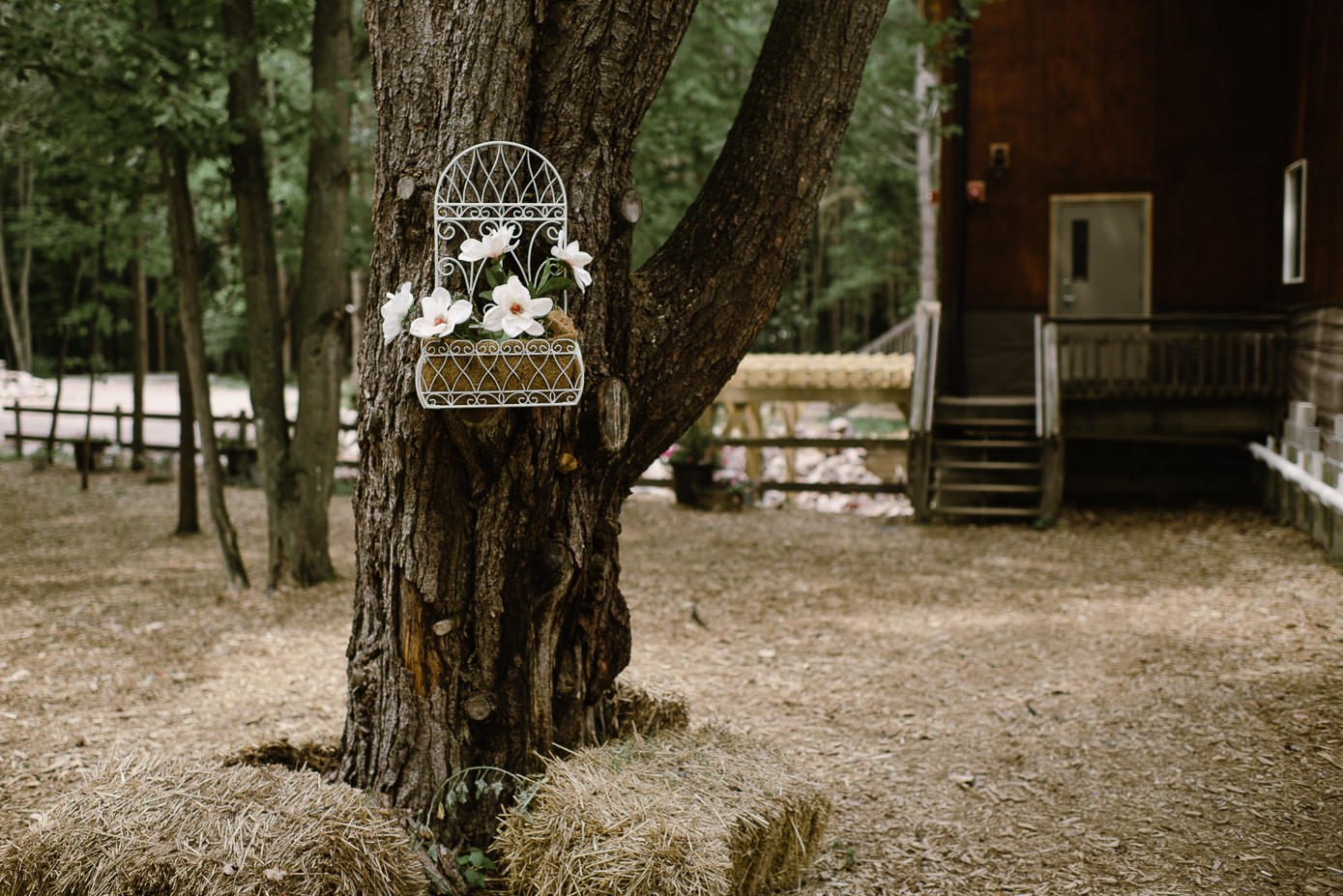 Wisconsin Dells Wedding in the woods