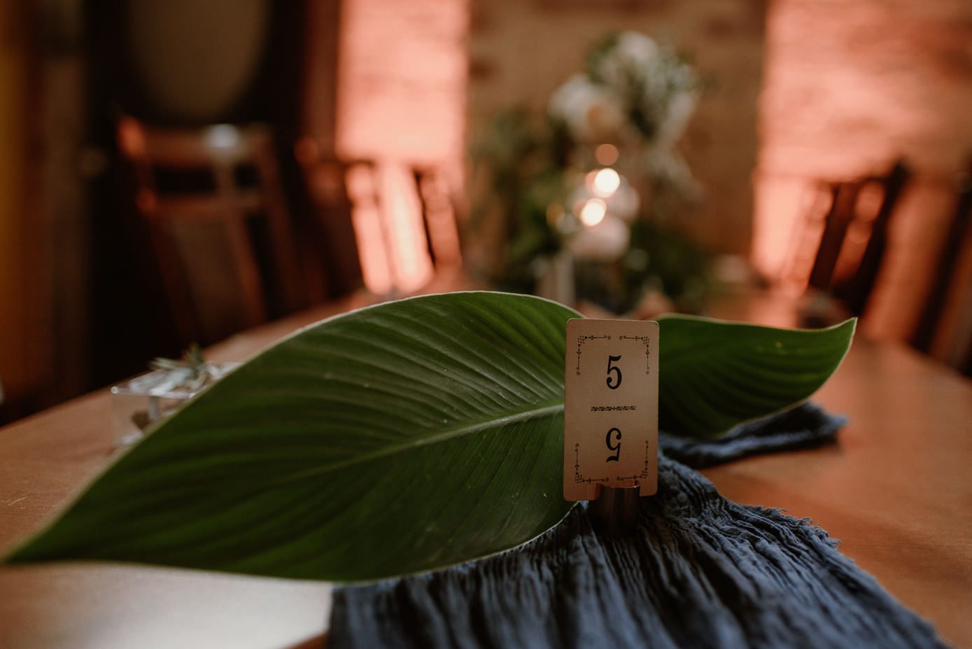 Plants at wedding reception