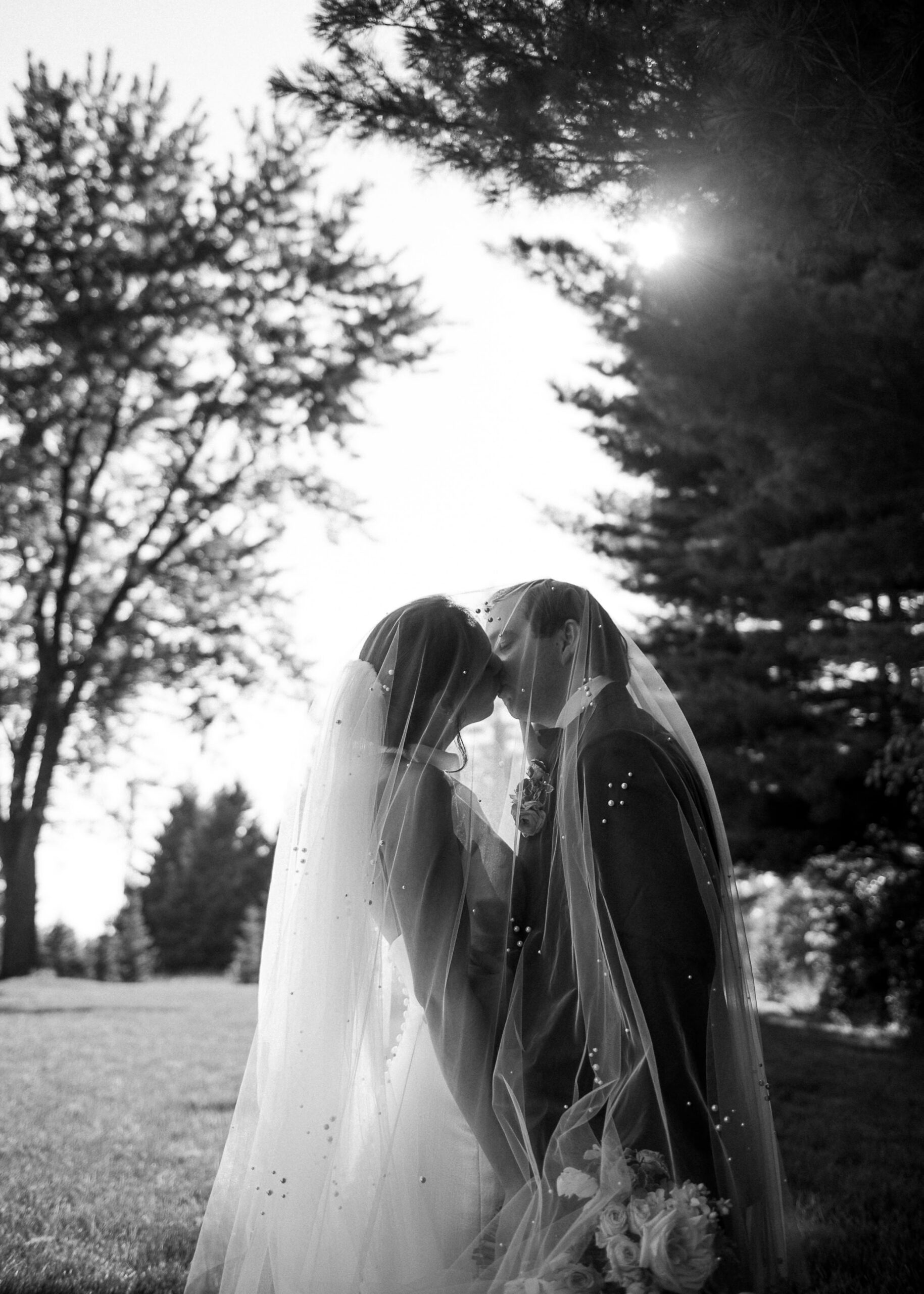 Romantic editorial photo of bride and groom kissing under veil and the evening sunlight shining through the trees behind them.