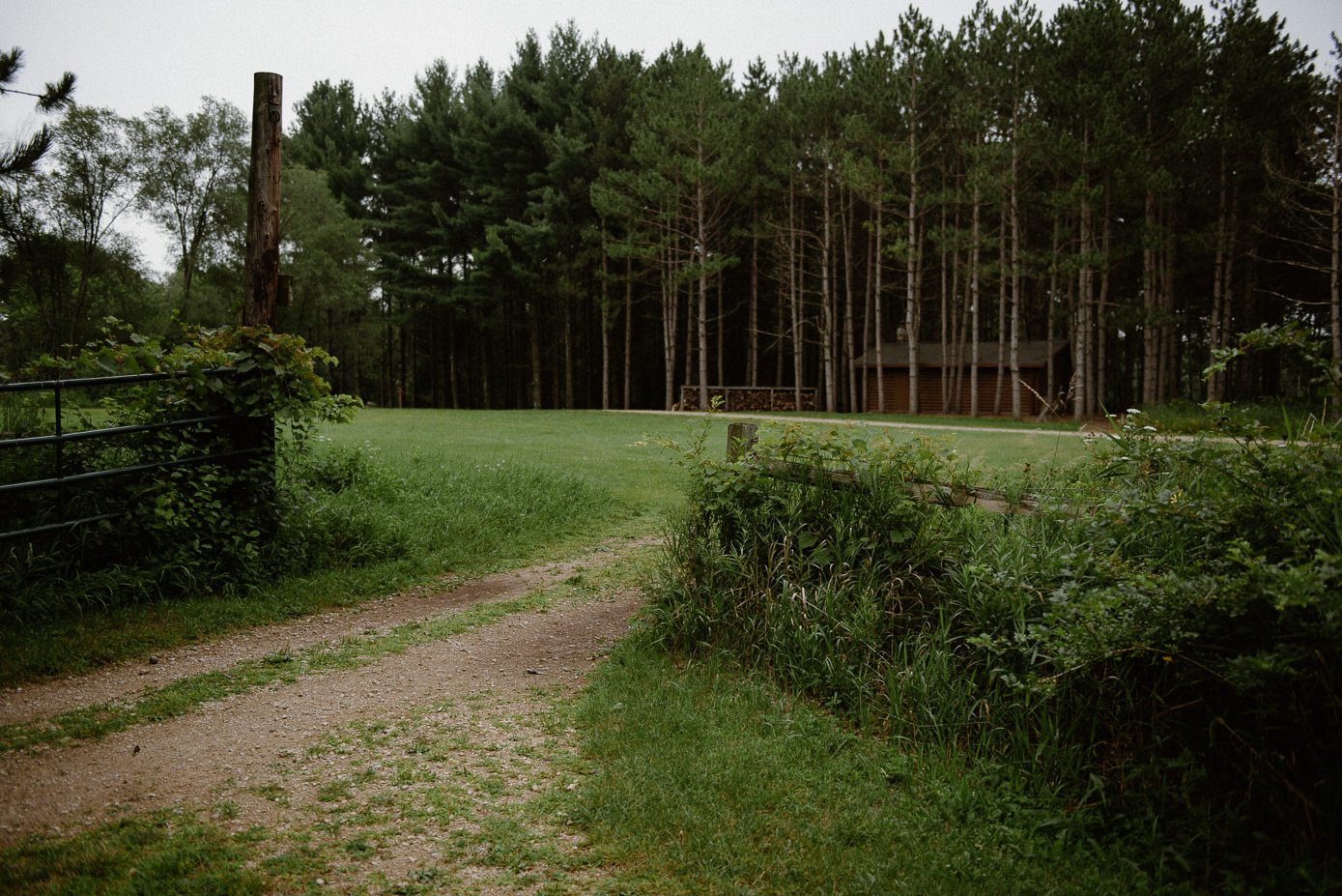 Landscape photo of Bubolz Nature Preserve wedding